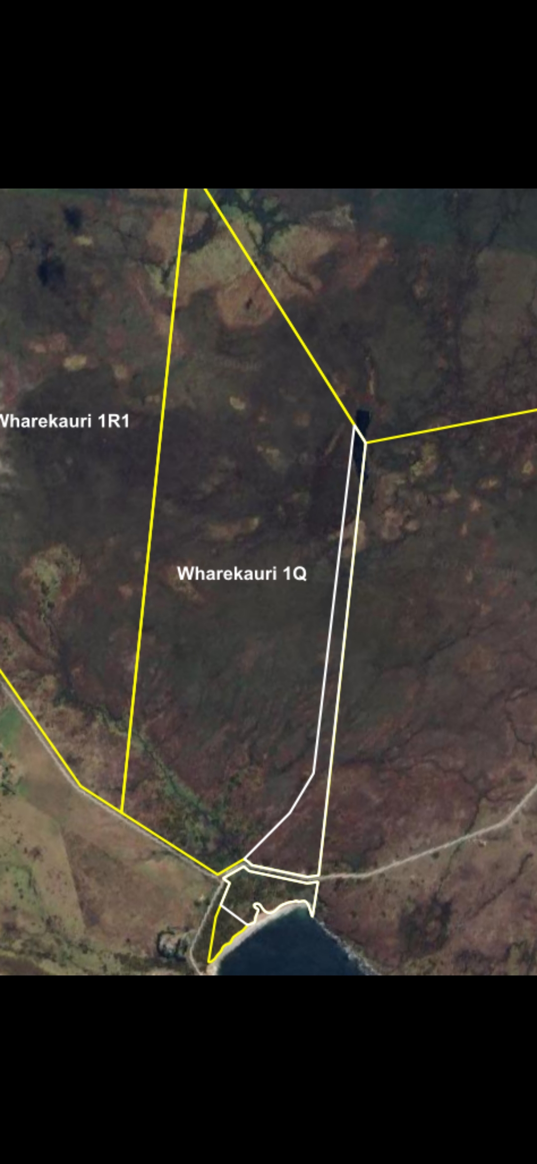 Wharekauri 1Q Te Waipounamu ( Chatham Islands )